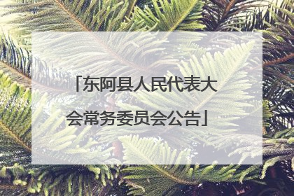 东阿县人民代表大会常务委员会公告