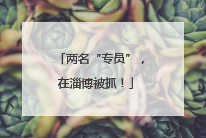两名“专员”，在淄博被抓！