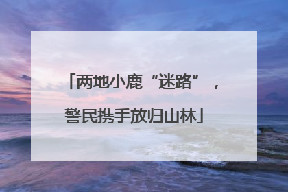两地小鹿“迷路”，警民携手放归山林