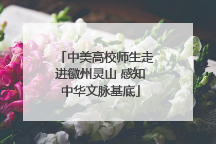 中美高校师生走进徽州灵山 感知中华文脉基底
