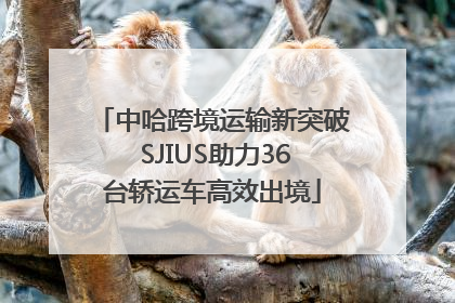 中哈跨境运输新突破 SJIUS助力36台轿运车高效出境