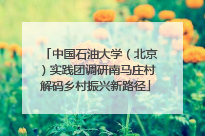 中国石油大学（北京）实践团调研南马庄村解码乡村振兴新路径