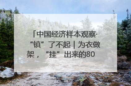 中国经济样本观察·“镇”了不起｜为衣做架，“挂”出来的80亿元“衣架产业”