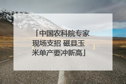 中国农科院专家现场支招 磁县玉米单产要冲新高