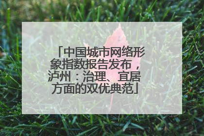 中国城市网络形象指数报告发布，泸州：治理、宜居方面的双优典范