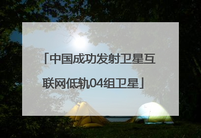 中国成功发射卫星互联网低轨04组卫星
