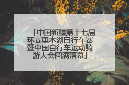 中国新疆第十七届环赛里木湖自行车赛暨中国自行车运动骑游大会圆满落幕