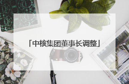 中核集团董事长调整