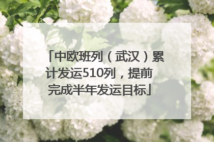 中欧班列（武汉）累计发运510列，提前完成半年发运目标