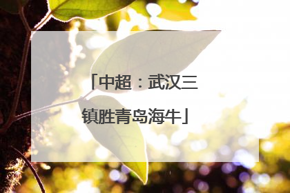 中超：武汉三镇胜青岛海牛