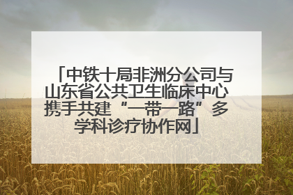 中铁十局非洲分公司与山东省公共卫生临床中心携手共建“一带一路”多学科诊疗协作网