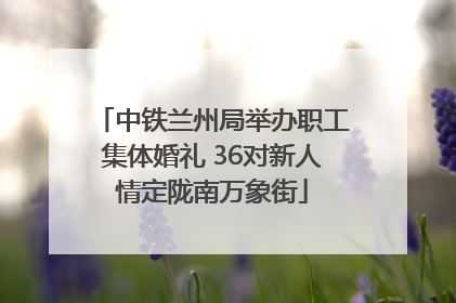 中铁兰州局举办职工集体婚礼 36对新人情定陇南万象街