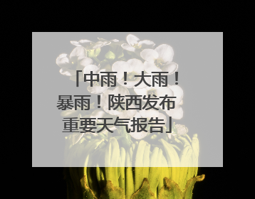 中雨！大雨！暴雨！陕西发布重要天气报告