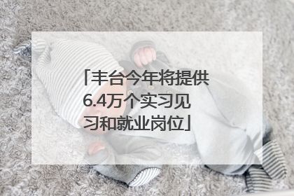 丰台今年将提供6.4万个实习见习和就业岗位
