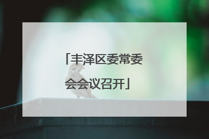 丰泽区委常委会会议召开