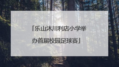 乐山沐川利店小学举办首届校园足球赛