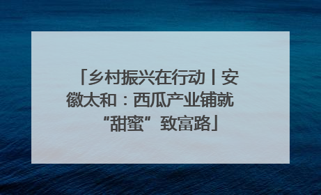 乡村振兴在行动丨安徽太和：西瓜产业铺就“甜蜜”致富路
