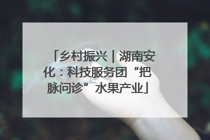 乡村振兴｜湖南安化：科技服务团“把脉问诊”水果产业