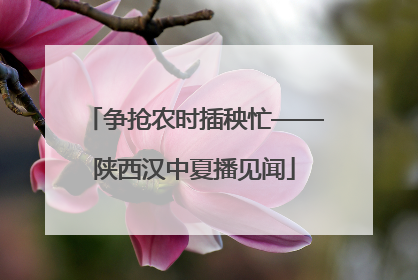 争抢农时插秧忙——陕西汉中夏播见闻