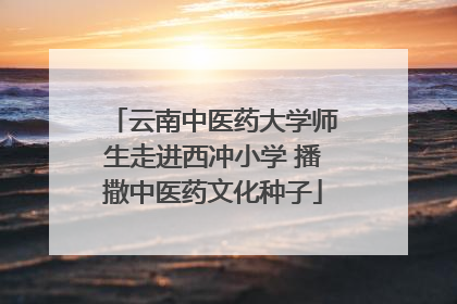 云南中医药大学师生走进西冲小学 播撒中医药文化种子