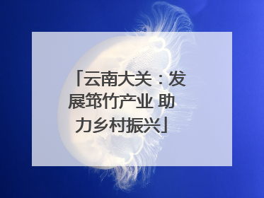 云南大关：发展筇竹产业 助力乡村振兴
