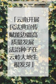 云南开展民法典宣传赋能边疆高质量发展 法治种子在云岭大地生根发芽