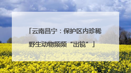 云南昌宁：保护区内珍稀野生动物频频“出镜”