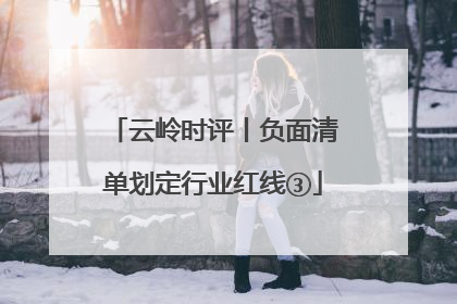 云岭时评丨负面清单划定行业红线③