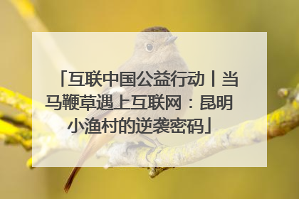 互联中国公益行动丨当马鞭草遇上互联网：昆明小渔村的逆袭密码