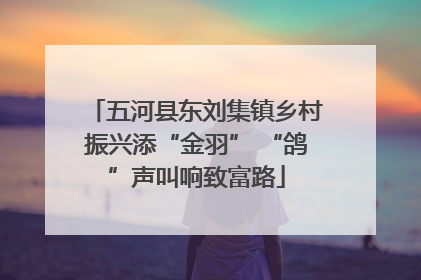 五河县东刘集镇乡村振兴添“金羽” “鸽”声叫响致富路