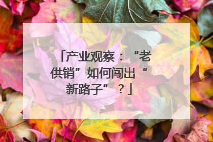 产业观察：“老供销”如何闯出“新路子”？