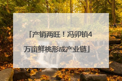 产销两旺！冯卯镇4万亩鲜桃形成产业链