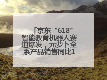 京东“618”智能教育机器人赛道爆发，元萝卜全系产品销售同比171%成黑马