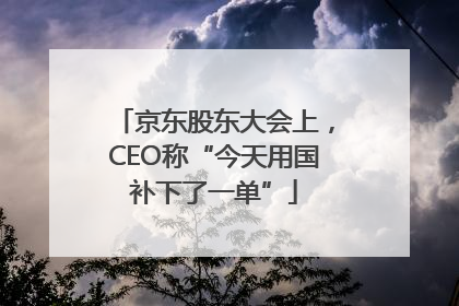 京东股东大会上，CEO称“今天用国补下了一单”