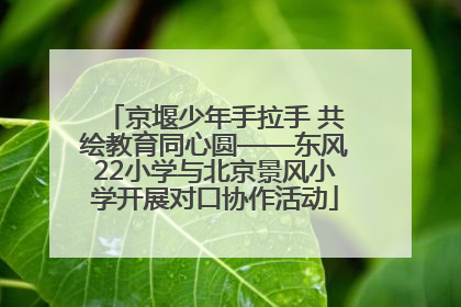 京堰少年手拉手 共绘教育同心圆——东风22小学与北京景风小学开展对口协作活动
