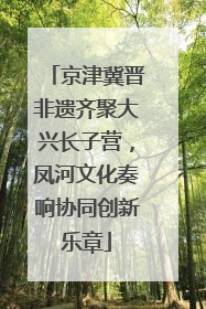 京津冀晋非遗齐聚大兴长子营，凤河文化奏响协同创新乐章