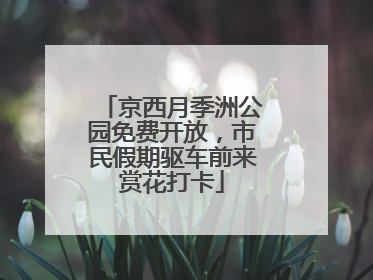 京西月季洲公园免费开放，市民假期驱车前来赏花打卡