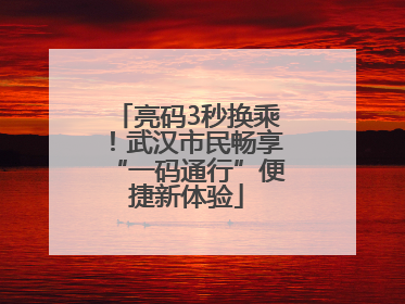 亮码3秒换乘！武汉市民畅享“一码通行”便捷新体验