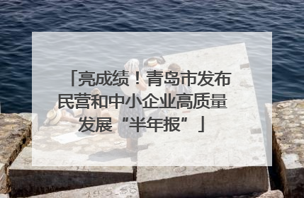 亮成绩！青岛市发布民营和中小企业高质量发展“半年报”