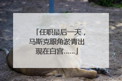 任职最后一天，马斯克眼角淤青出现在白宫……