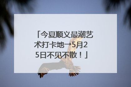 今夏顺义最潮艺术打卡地→5月25日不见不散！