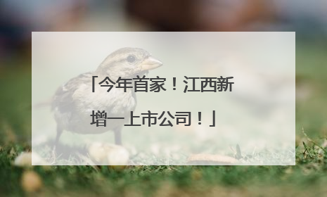 今年首家！江西新增一上市公司！