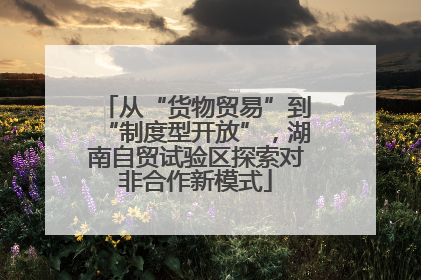 从“货物贸易”到“制度型开放”，湖南自贸试验区探索对非合作新模式
