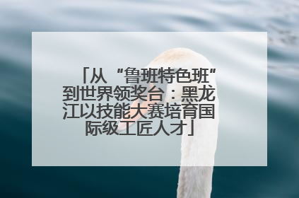 从“鲁班特色班”到世界领奖台：黑龙江以技能大赛培育国际级工匠人才