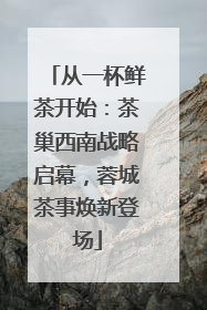 从一杯鲜茶开始：茶巢西南战略启幕，蓉城茶事焕新登场