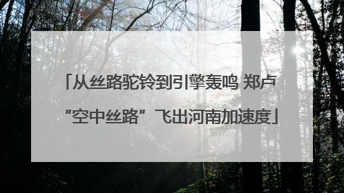 从丝路驼铃到引擎轰鸣 郑卢“空中丝路”飞出河南加速度