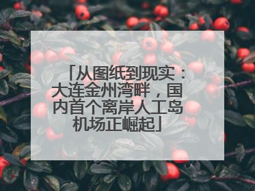 从图纸到现实：大连金州湾畔，国内首个离岸人工岛机场正崛起