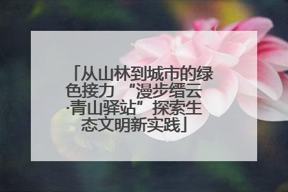 从山林到城市的绿色接力 “漫步缙云·青山驿站”探索生态文明新实践