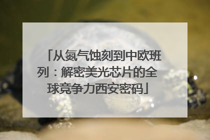 从氮气蚀刻到中欧班列：解密美光芯片的全球竞争力西安密码