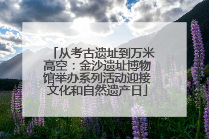 从考古遗址到万米高空：金沙遗址博物馆举办系列活动迎接文化和自然遗产日